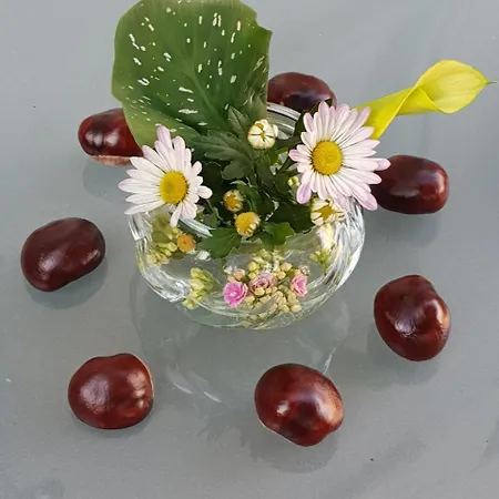 Auenwald Hotel Und Apartmenthaus Guest house Leipzig