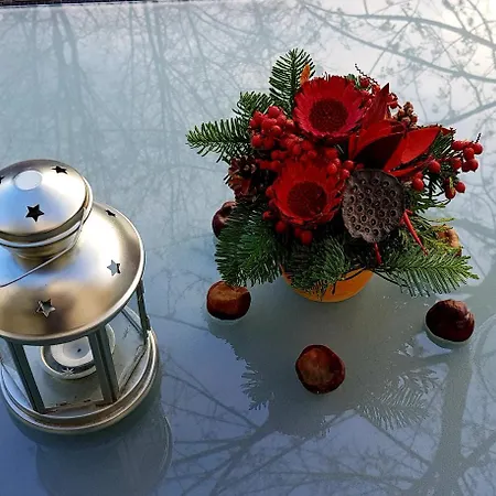 Guest house Auenwald Hotel Und Apartmenthaus 3*