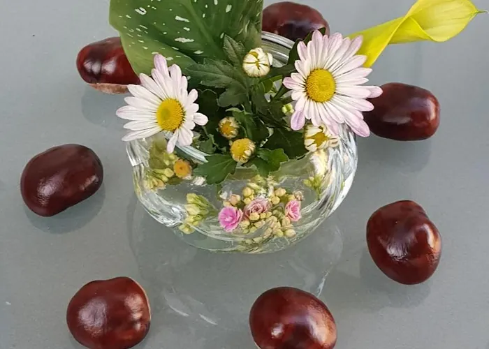 Auenwald Hotel Und Apartmenthaus Guest house Leipzig