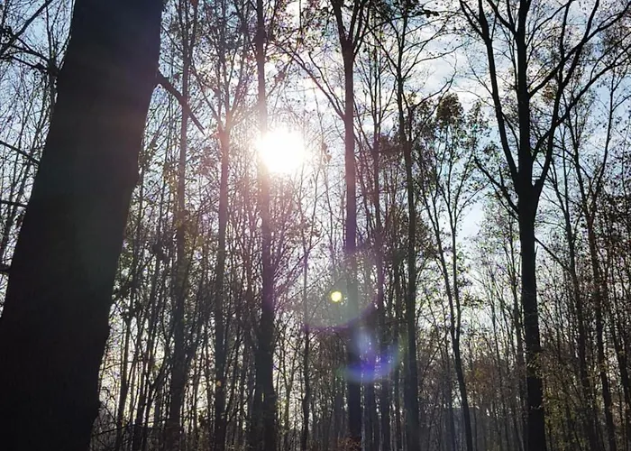 Guest house Auenwald Hotel Und Apartmenthaus