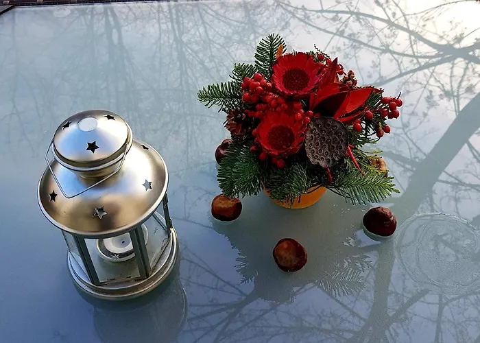 Guest house Auenwald Hotel Und Apartmenthaus 3*